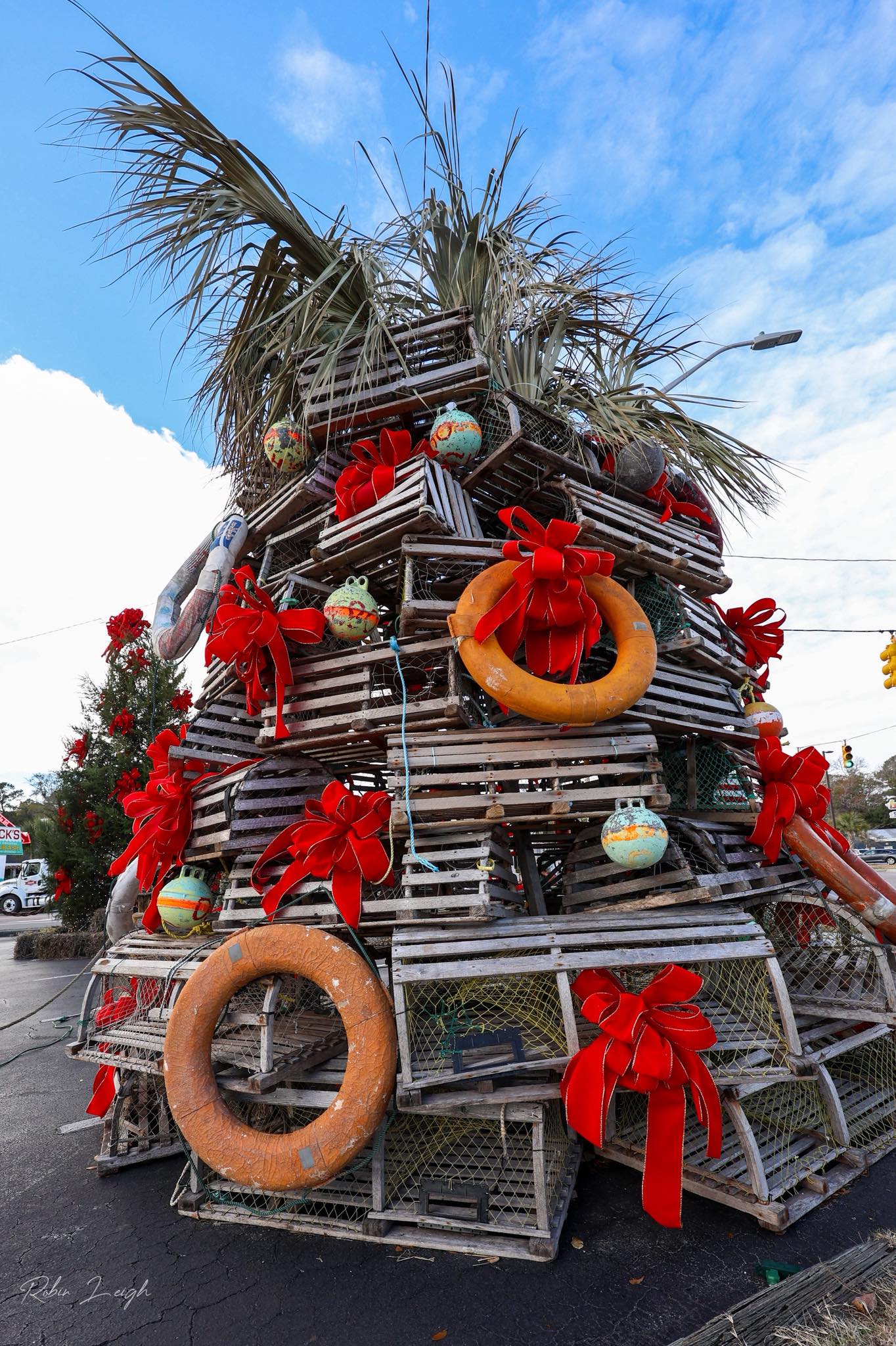 Unique coastal Christmas tree at Oyster Rock in Calabash