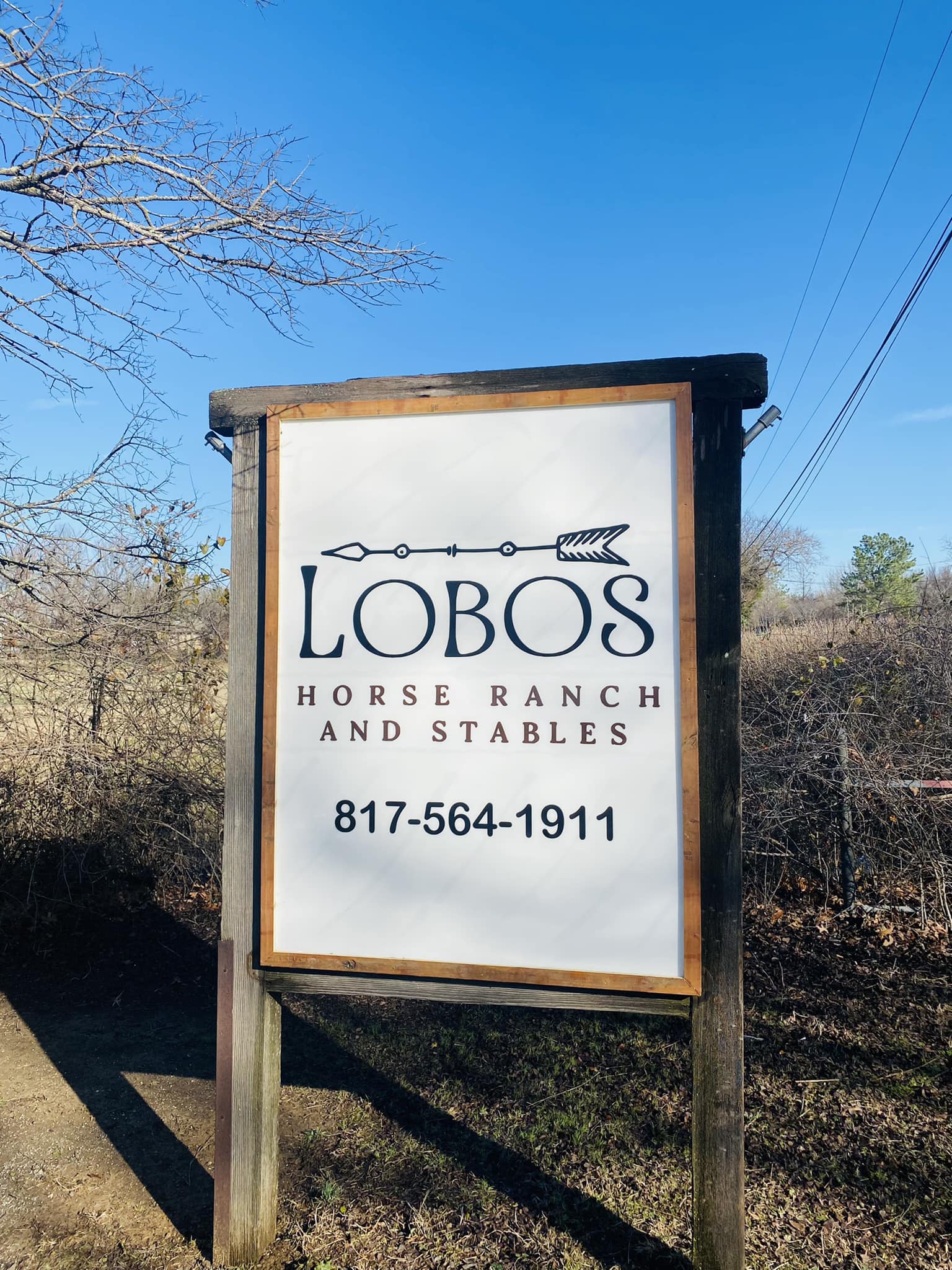 Lobos Horse Ranch & Stables | Mansfield TX