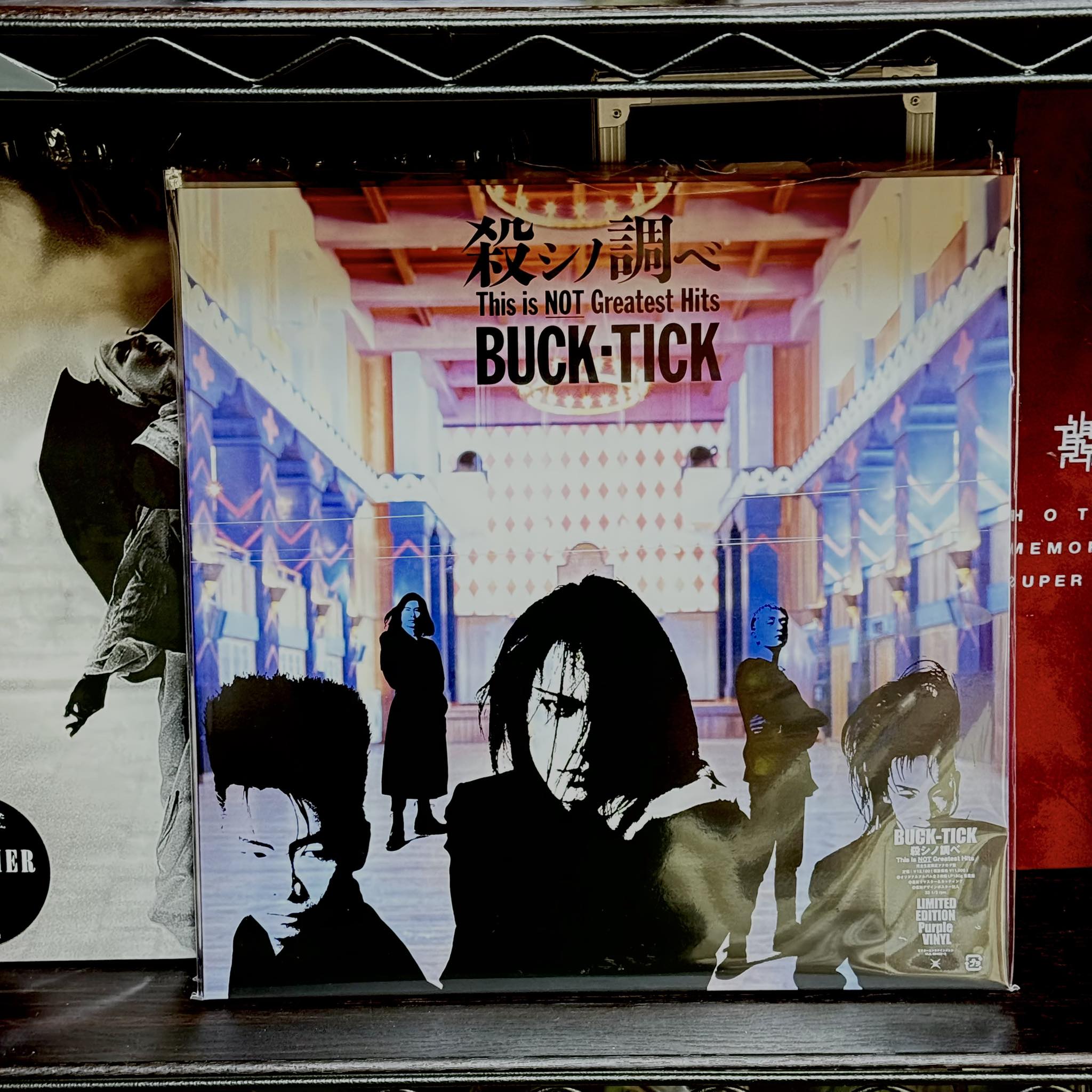 殺シノ調べ This is NOT Greatest Hits | 完全生産限定アナログ盤