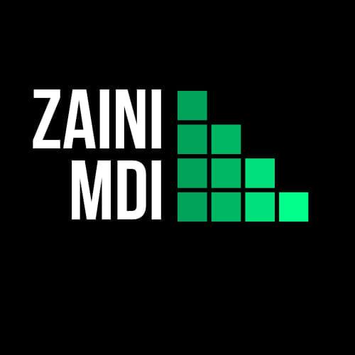 Zaini Raja