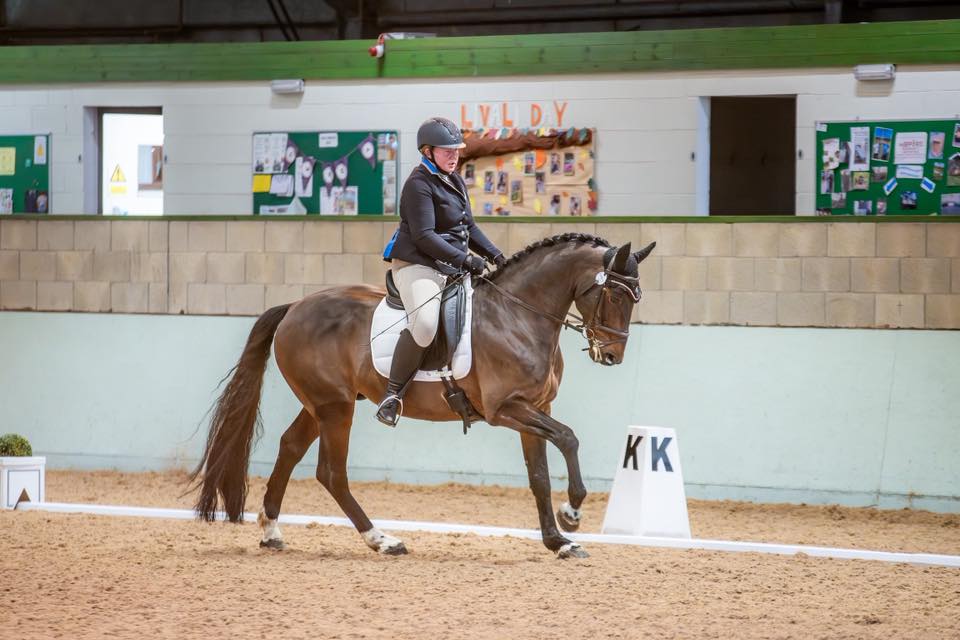Ailby House Arena and Stud Farm | Alford