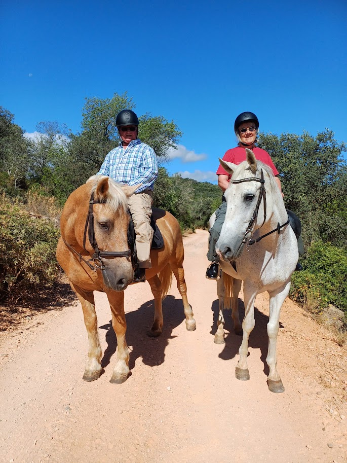 Country Riding Centre added a new... - Country Riding Centre