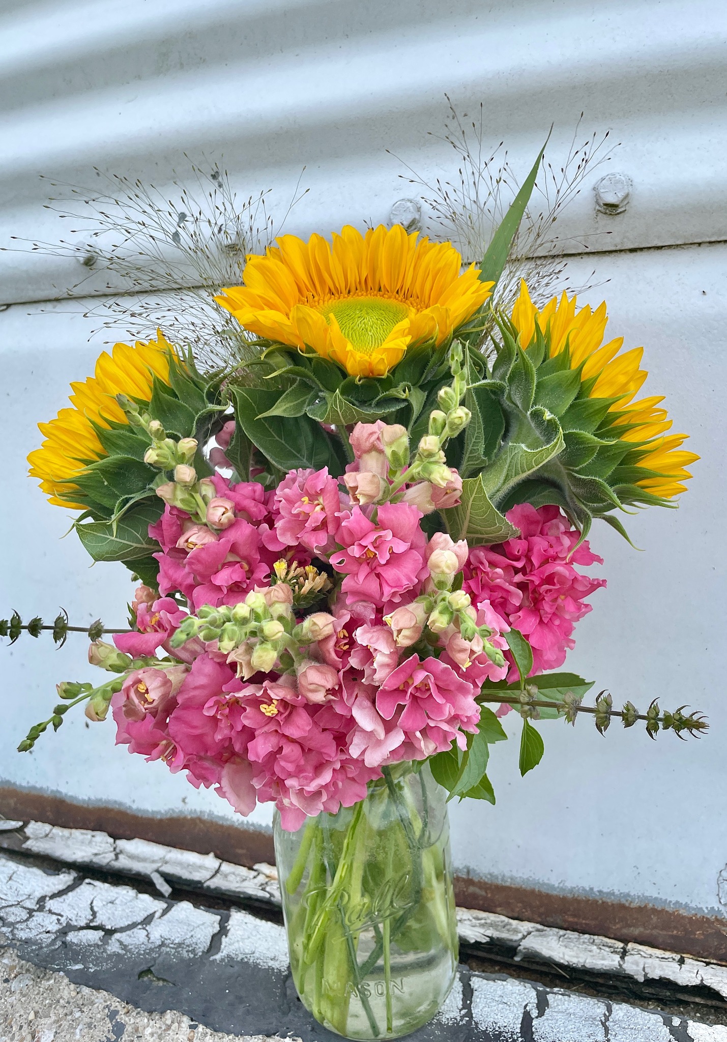 Happy Friday, flower friends!... Graceful Acres Flower Farm