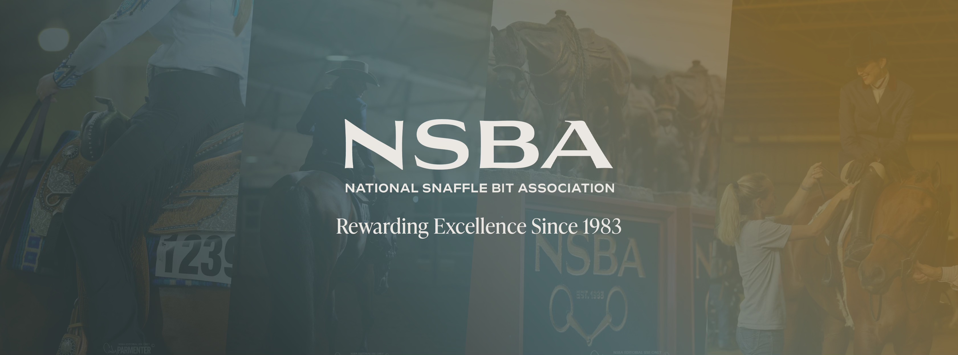 National Snaffle Bit Association | Weatherford TX