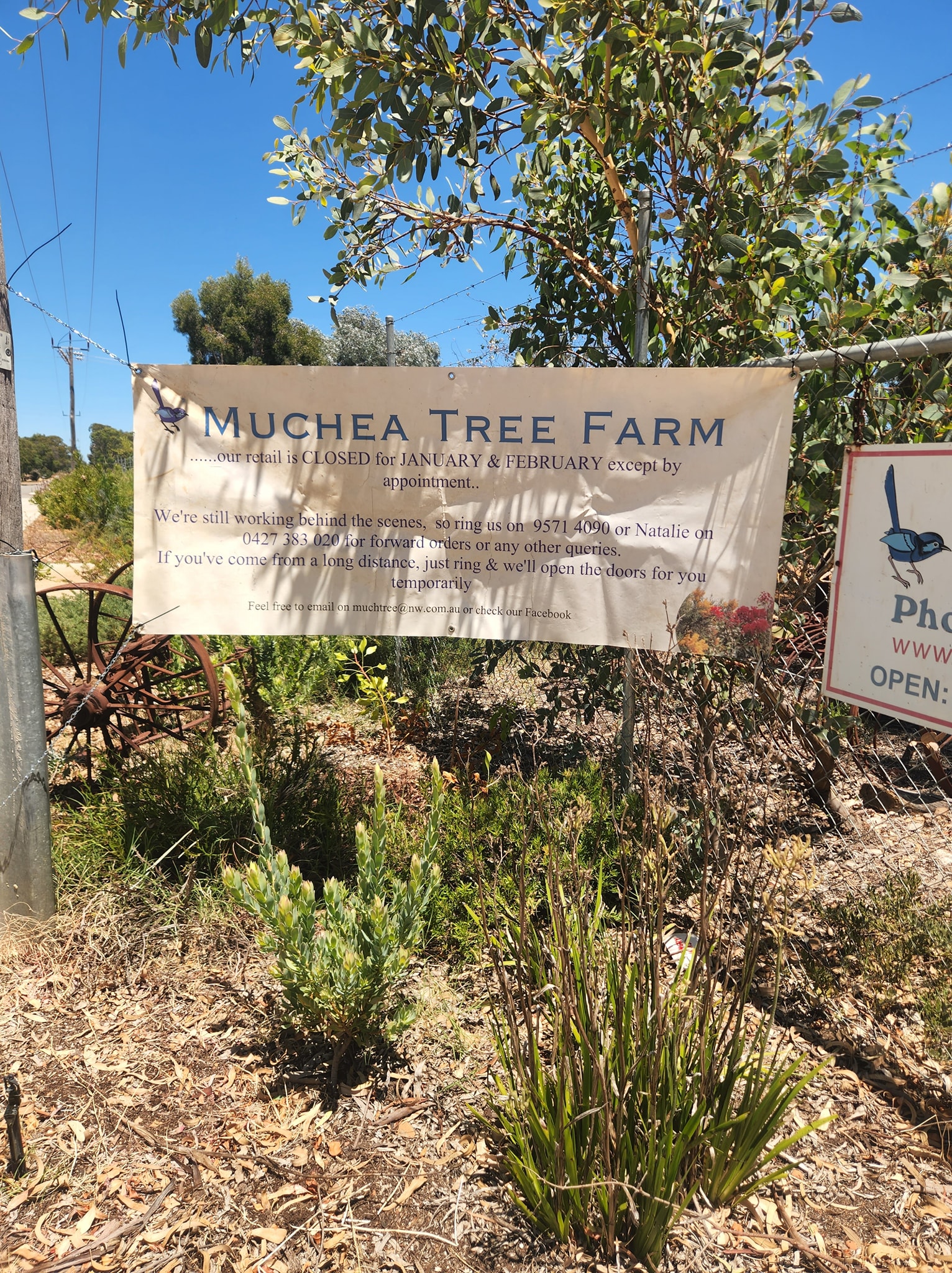Muchea Tree Farm | Perth WA
