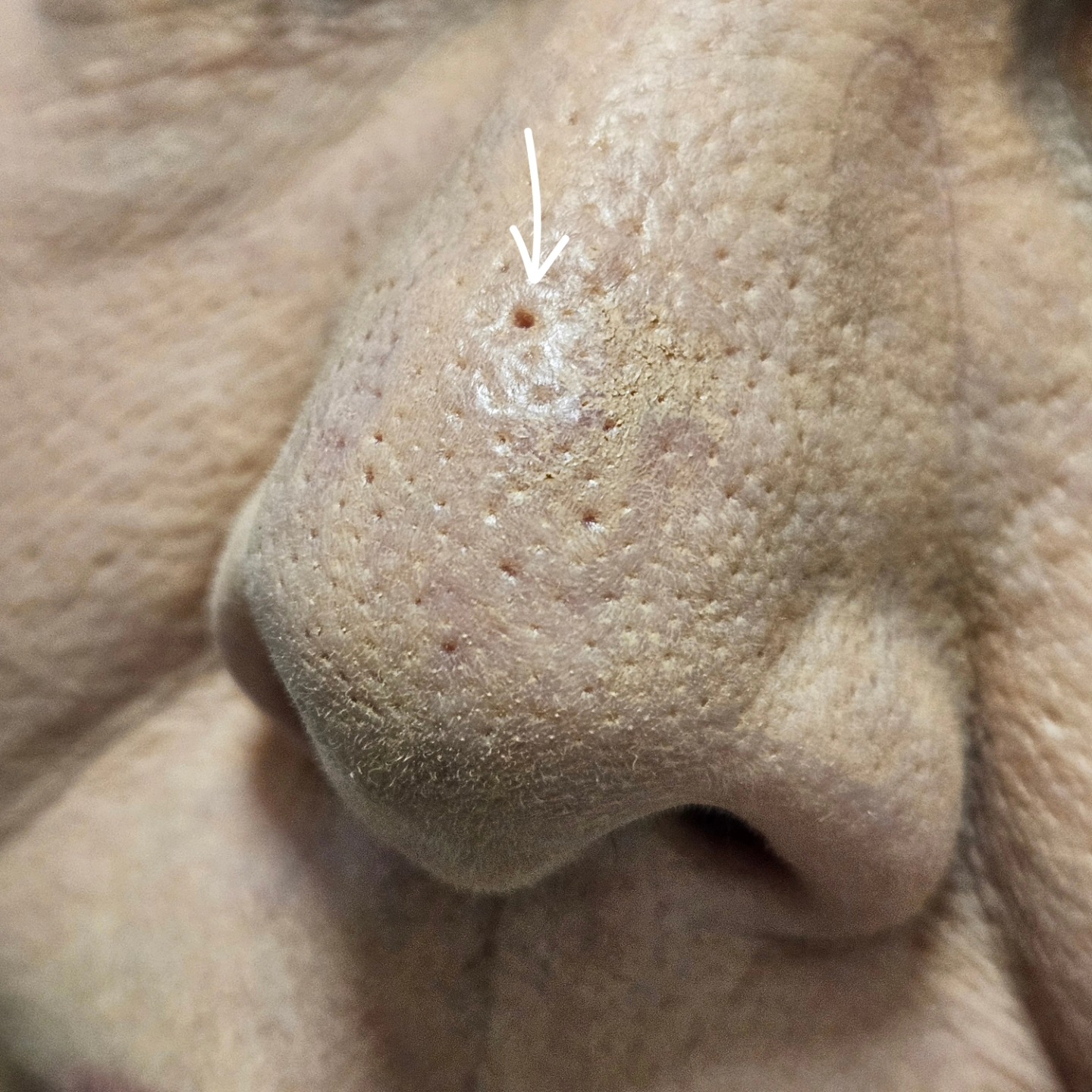 Rejuvimed Advanced Medical Aesthetics | Fresno CA