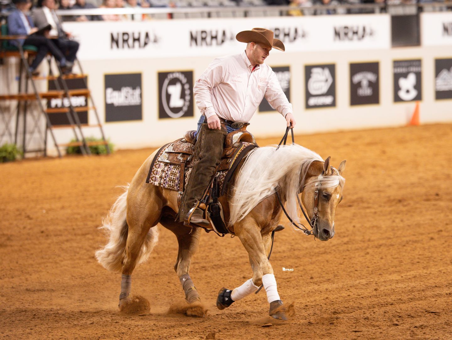Legacy Reining Breeders Sale | Aubrey TX