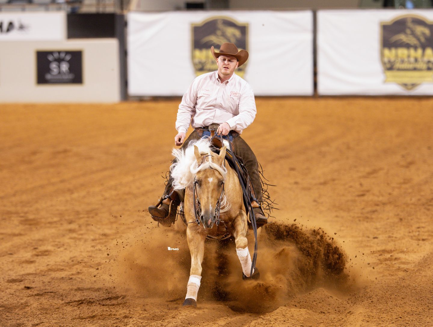 Legacy Reining Breeders Sale | Aubrey TX