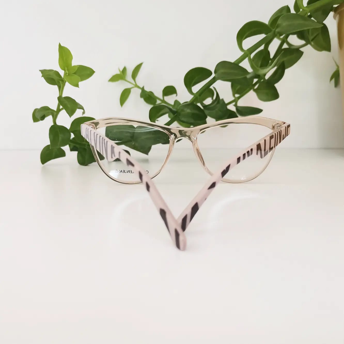 Scripted Optometry | Johannesburg