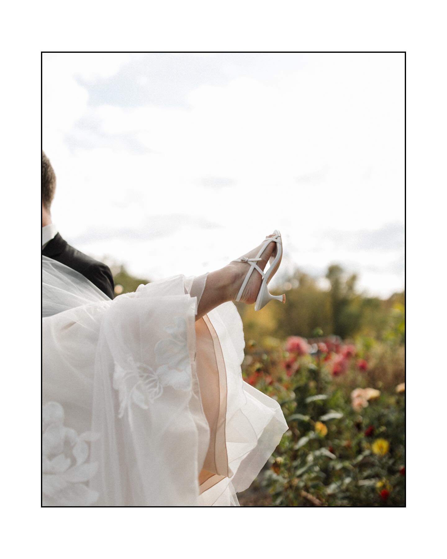 Courtney Rutledge Photography