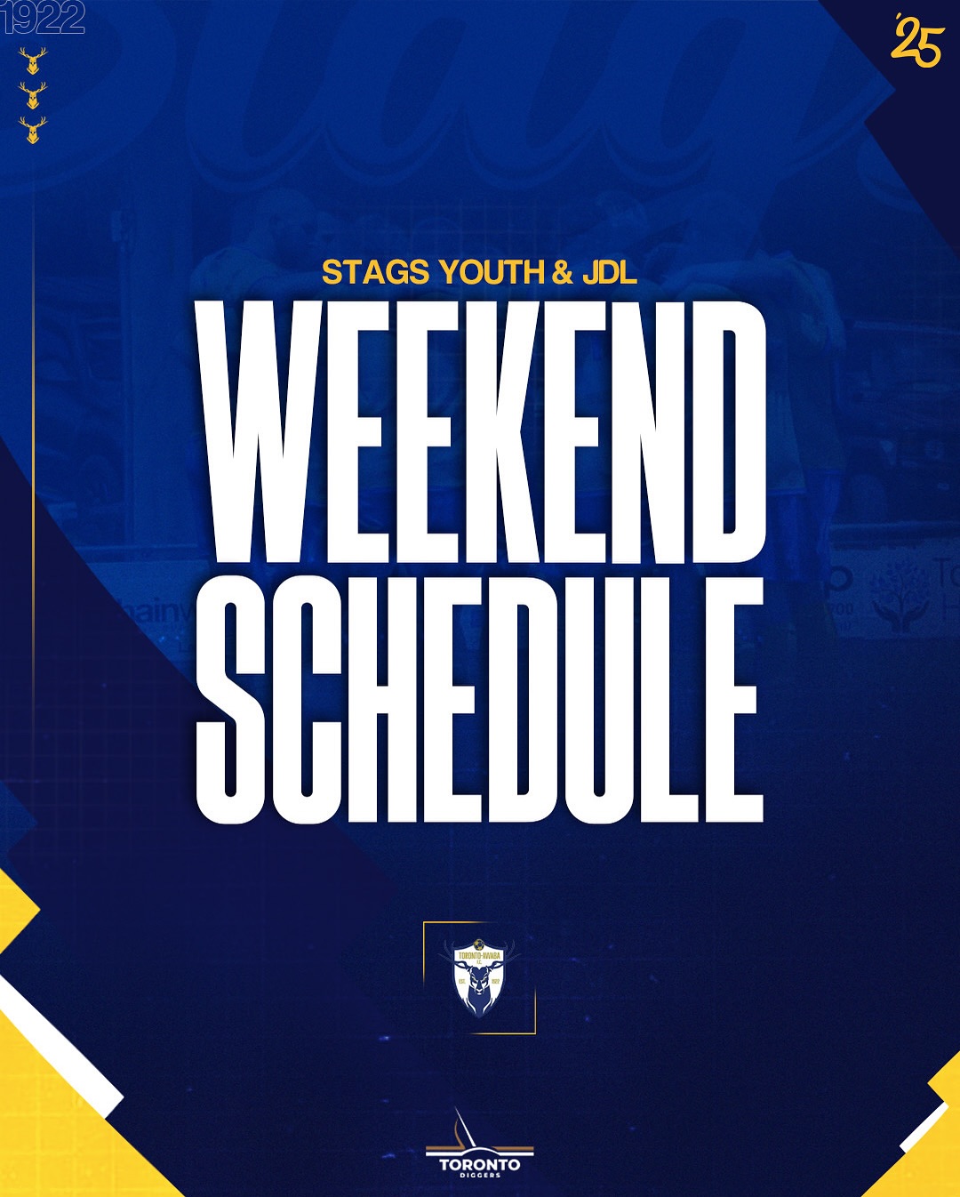 Toronto Awaba Stags... - Toronto Awaba Stags Football Club.