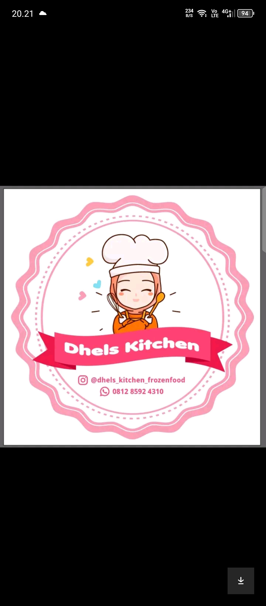 Dhels Frozen food