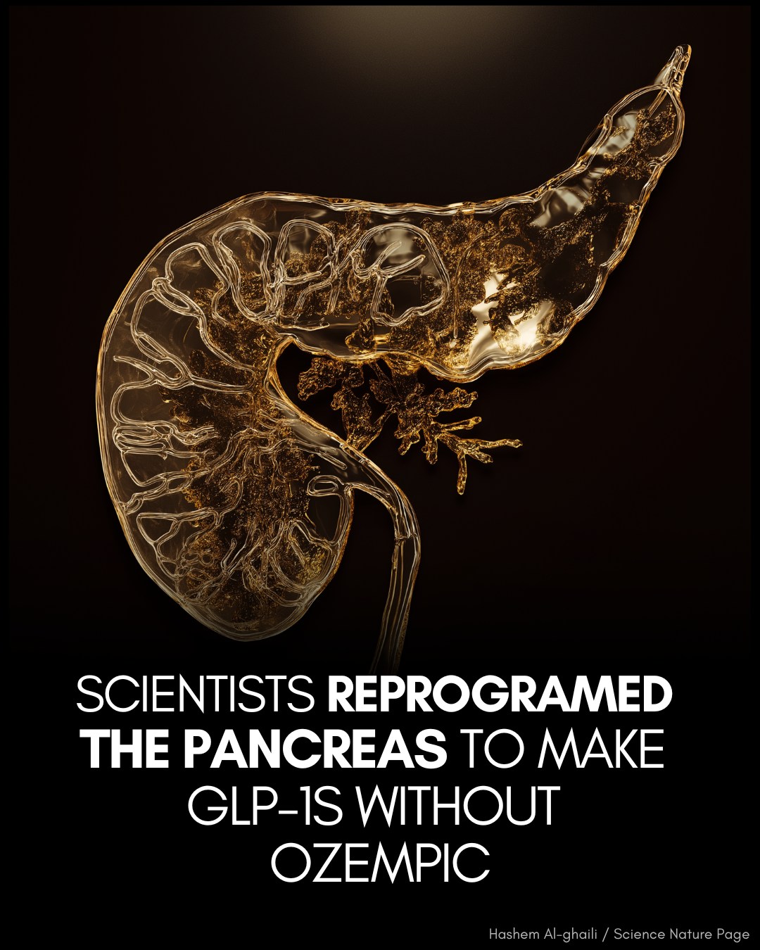 glp 1 from lizard Modern GLP-1 drugs like OZEMPIC we have because of lizards!! This is exactly why biodiversity conservation matters  you never know which species holds the next medical breakthrough   One of the world's