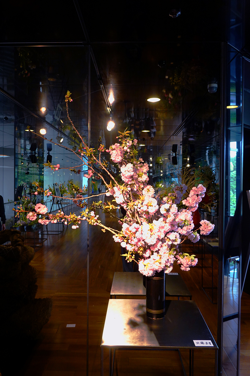 星のいけばな いけばな草月流 Ikebana - 佐藤容星さんの作品。 | Facebook