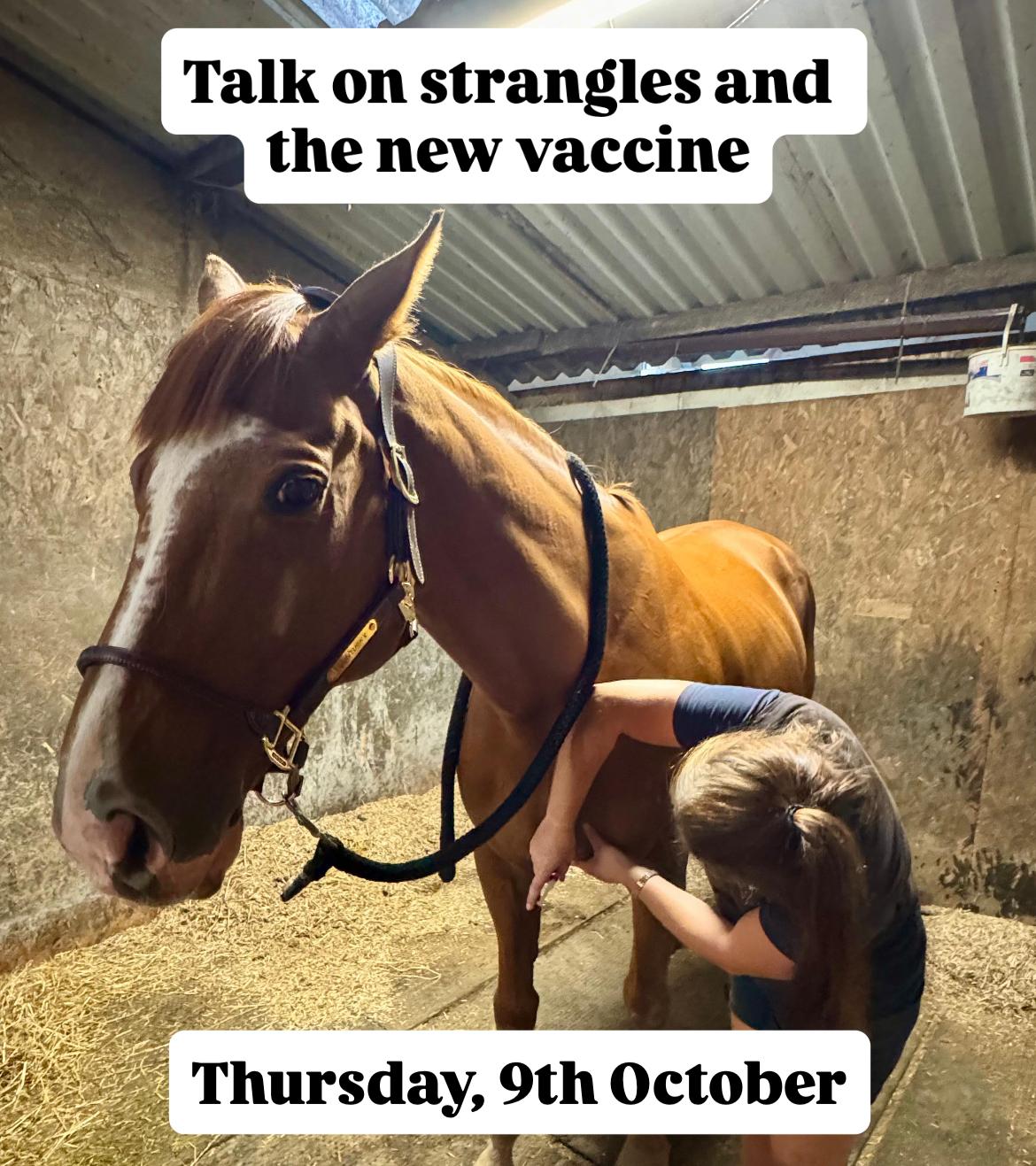 Save the date! 📆 Our vets have been... - Kernow Equine Vets | Facebook