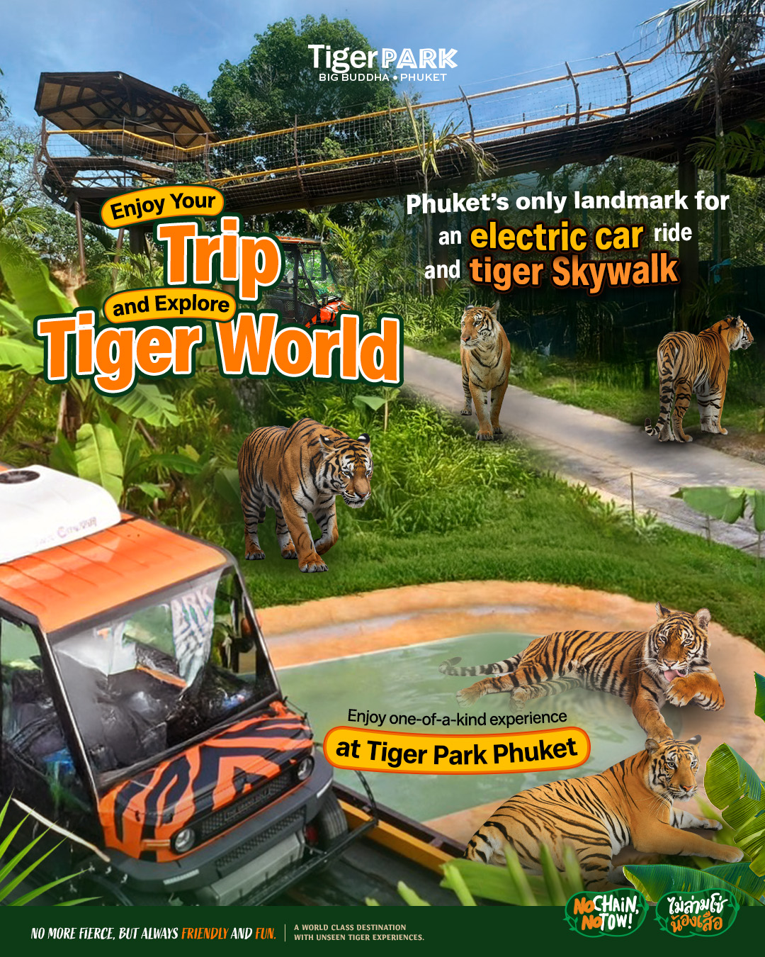 Tiger - 🐅 Tiger Park Phuket Where the sky connects with nature above ...