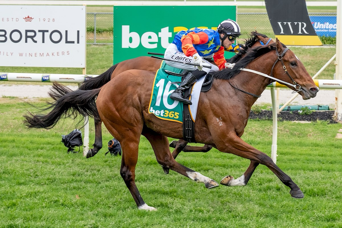 Price Kent Racing | Cranbourne South VIC