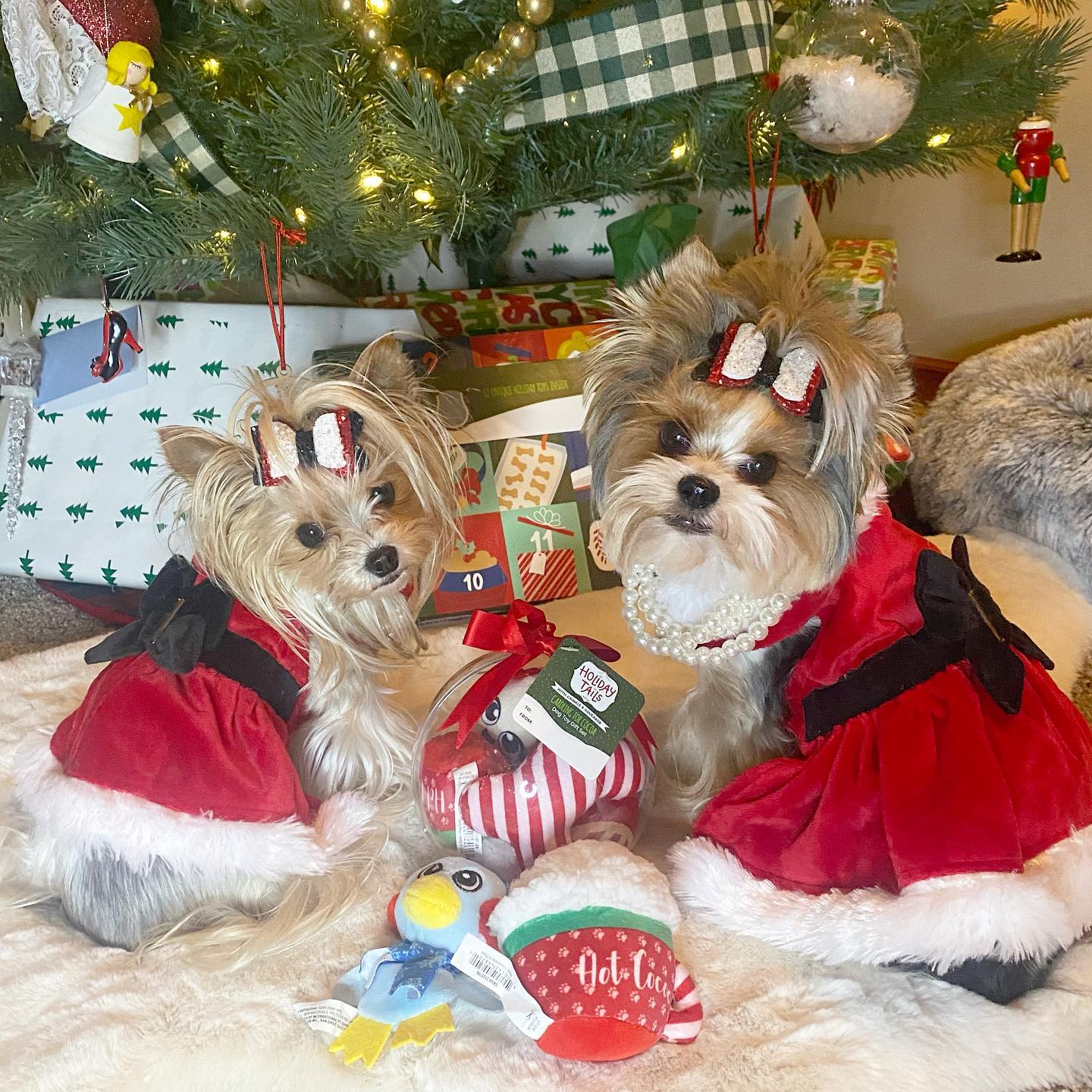 petco christmas dress Petco's holiday collection for dogs Dog pajamas