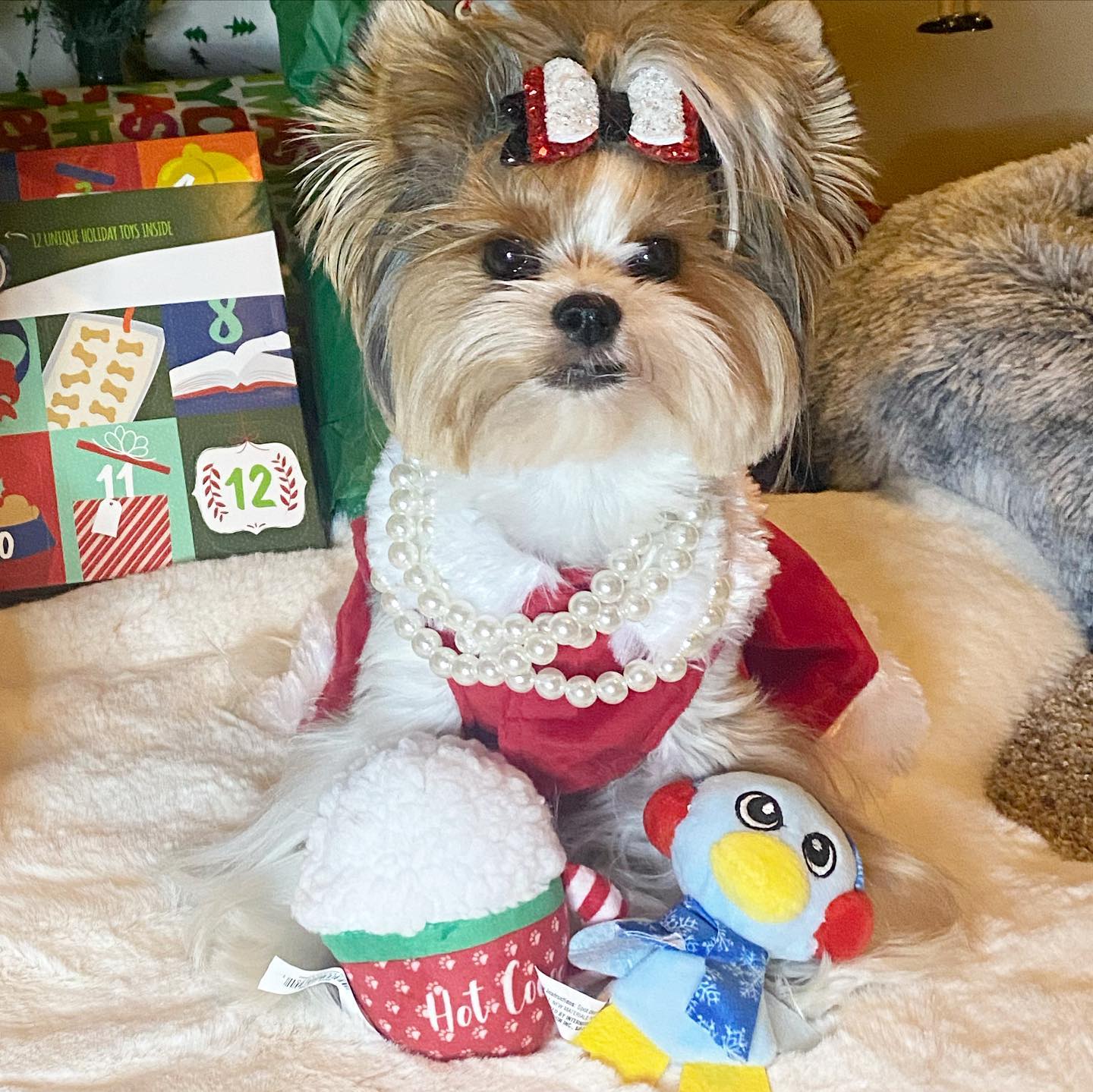 petco christmas dress Petco's 'More & Merrier' collection has products for every occasion from Thanksgiving to New Year's Very classic Christmas dress