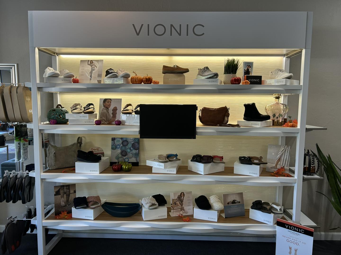 The Shoe Box - 🍂🍁🍂 NEW VIONIC SHIPMENT🍂🍁🍂 | Facebook