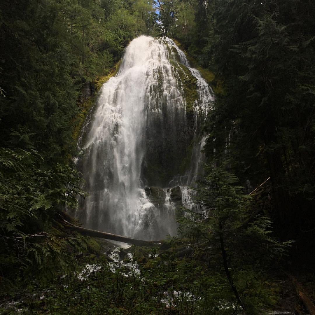 Hobson's - Wow...truly breathtaking. I love a good waterfall but a ...