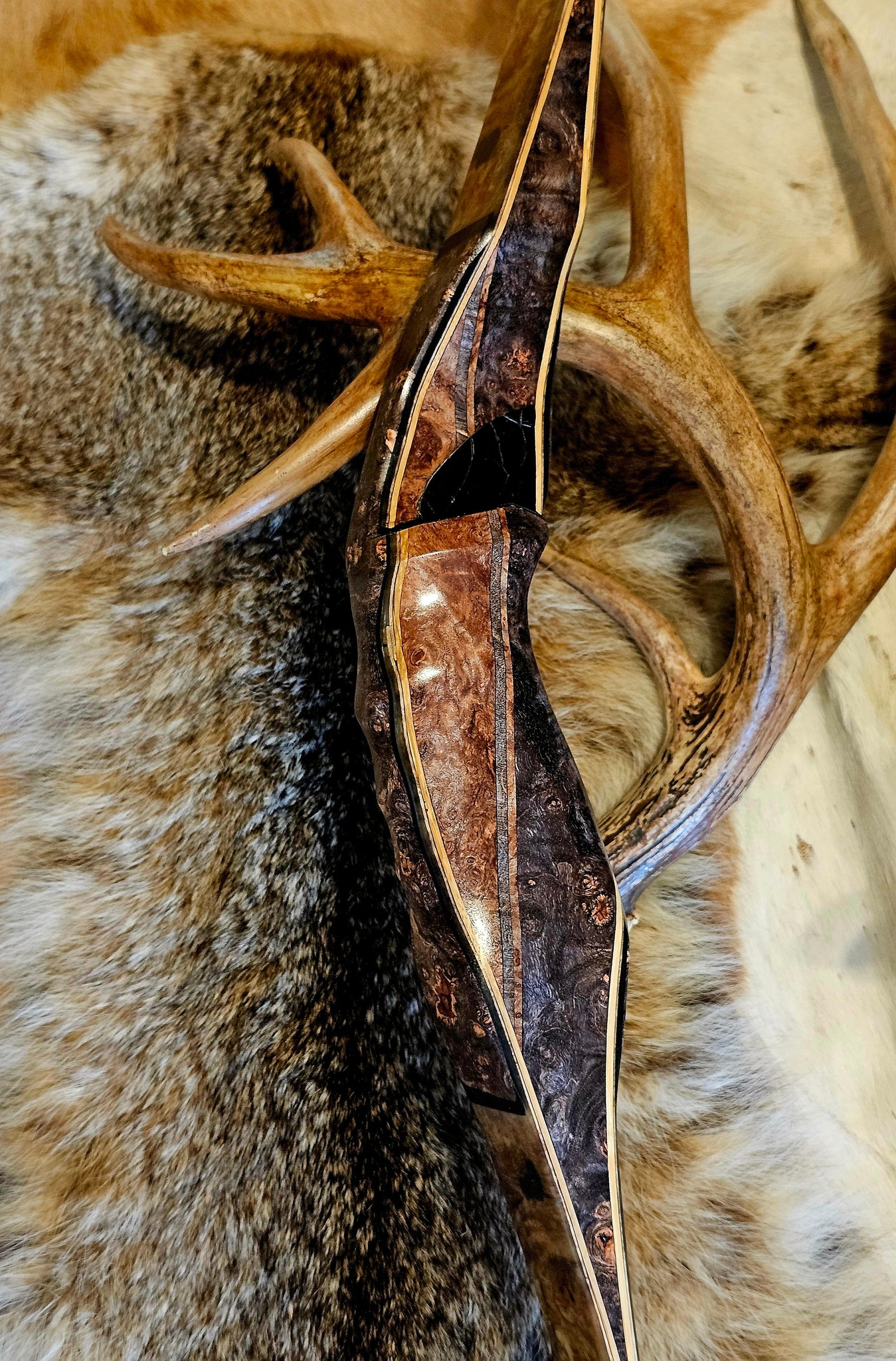 Drop Tine Custom Bows added a new... - Drop Tine Custom Bows