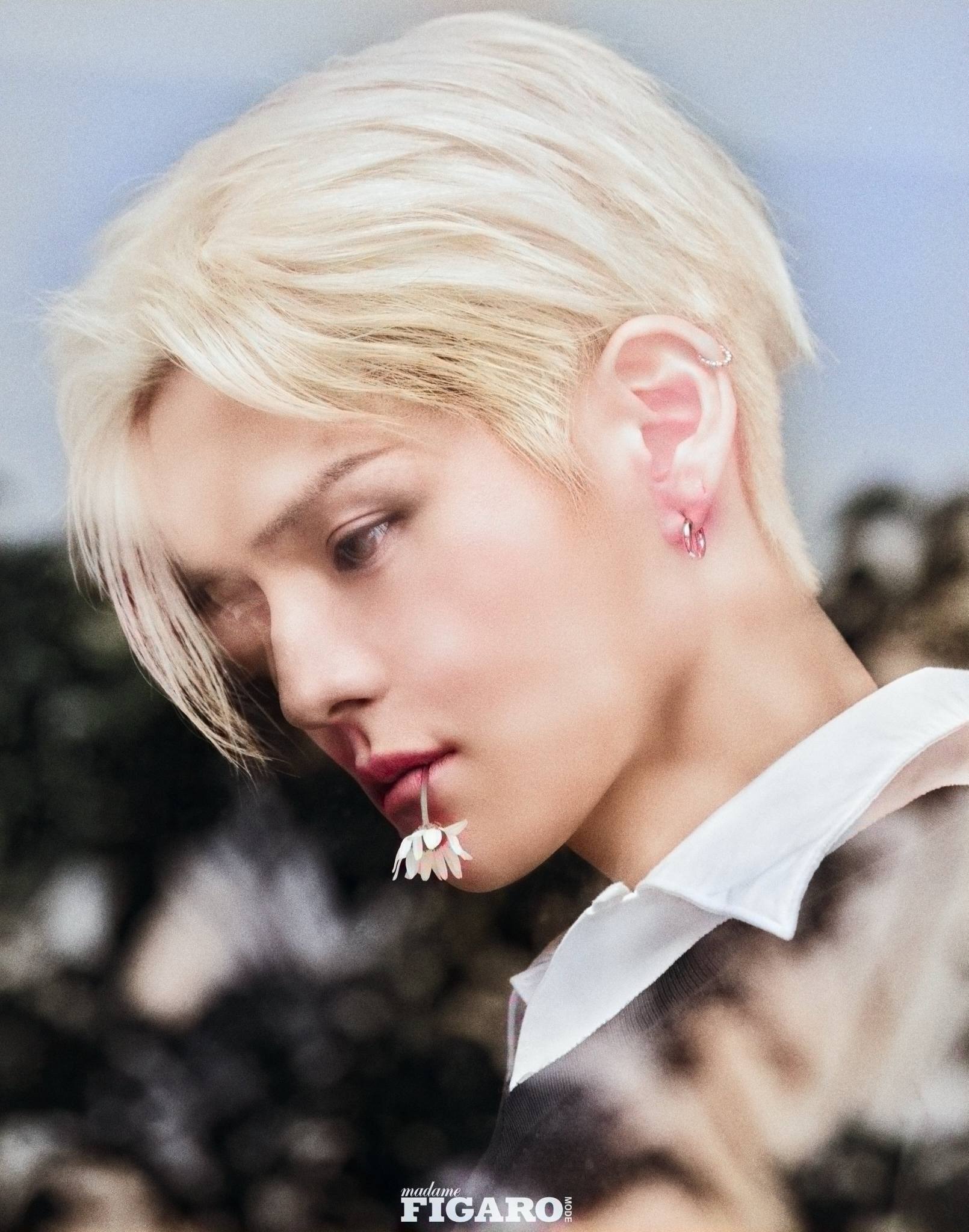 𝐚𝐥𝐥 𝐚𝐛𝐨𝐮𝐭 𝐘𝐎𝐒𝐇𝐈 (@allaboutyoshi) • Facebook