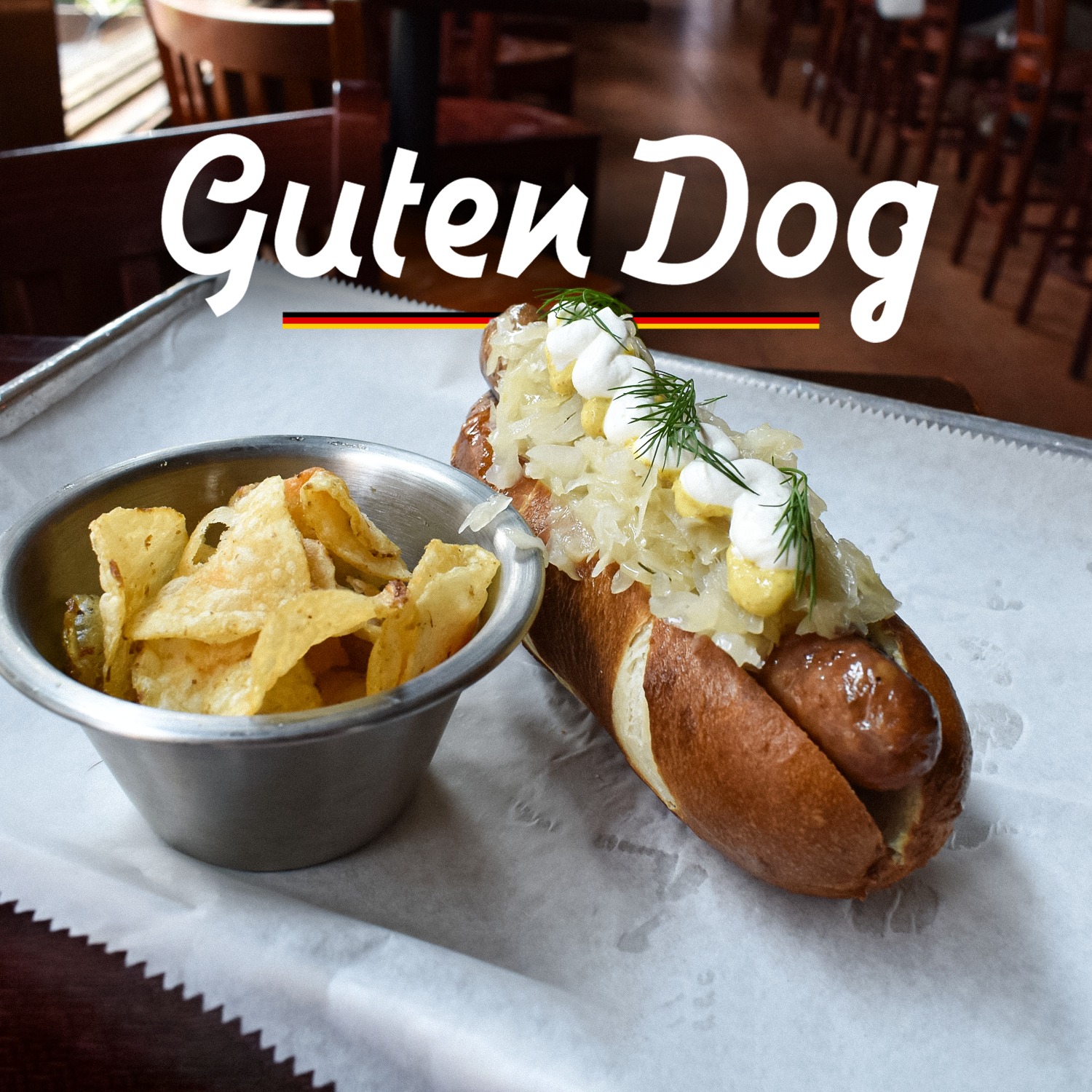 Destination Dogs | New Brunswick NJ