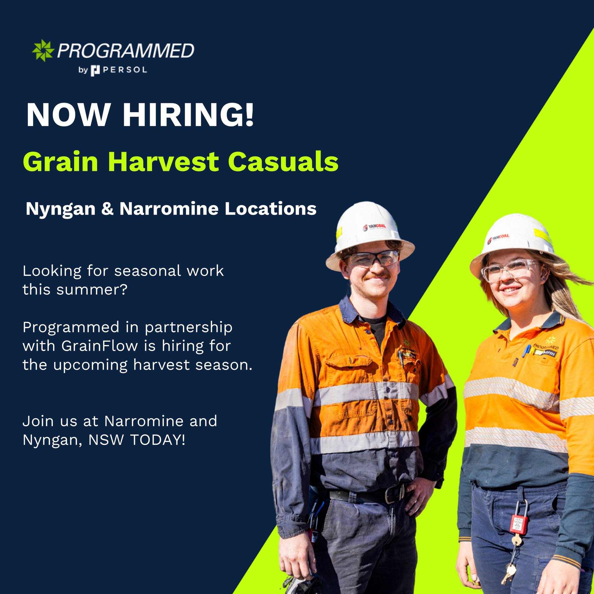Programmed - 🌾 Harvest 2025 is here! 🌾 Programmed Skilled is hiring ...