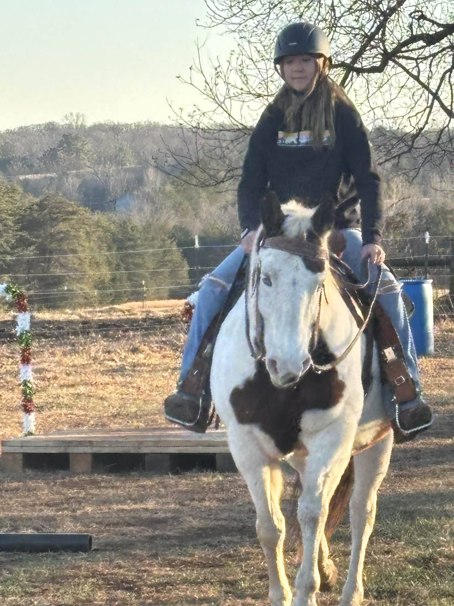 Wilt Family Farms added a new photo. - Wilt Family Farms