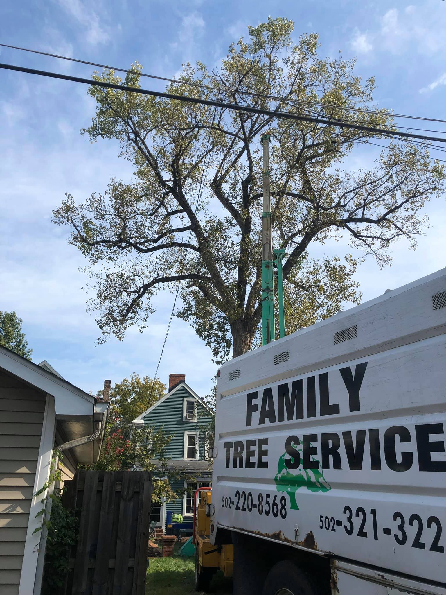 Family Tree Service
