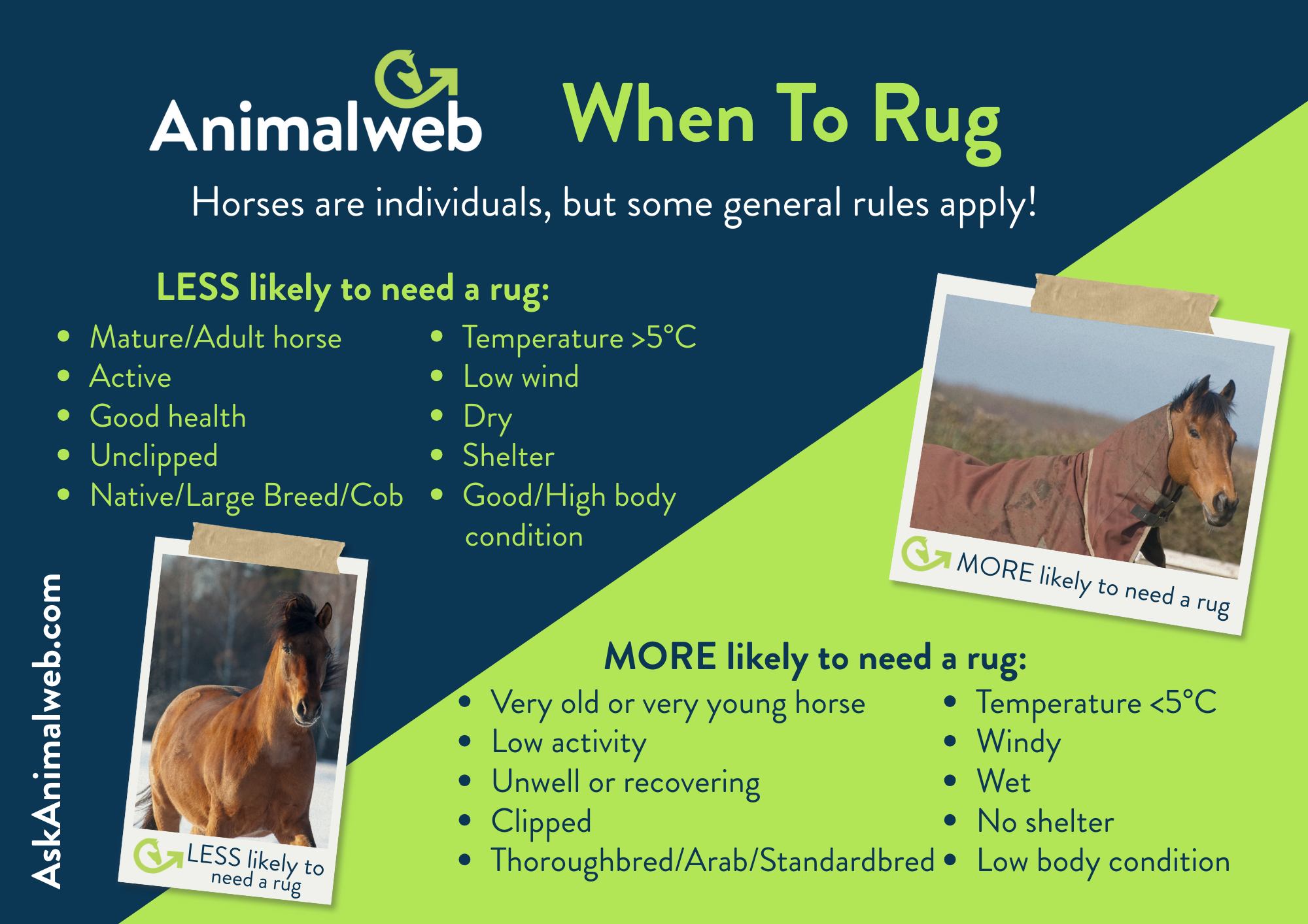 Dr David Marlin - 🤔 Are you ever unsure when to rug, or... | Facebook