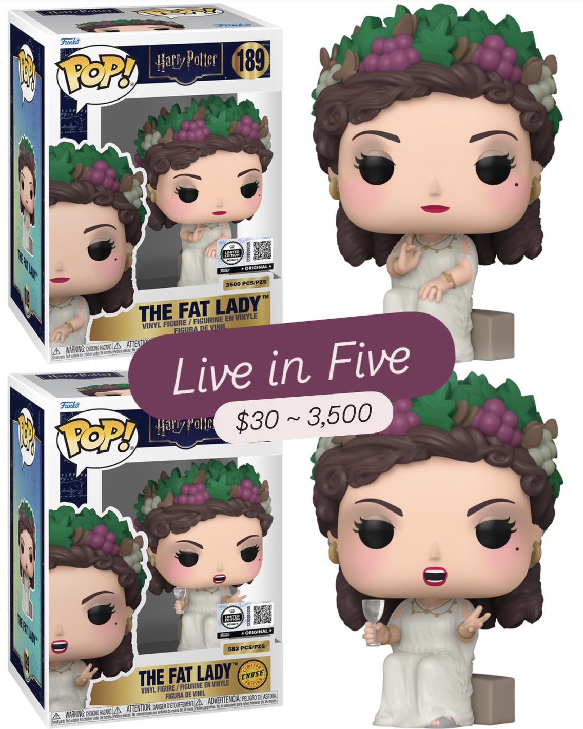 Live in Five! Harry Potter Fat Lady Funko POP! With Chase! Limited  display picture 1
