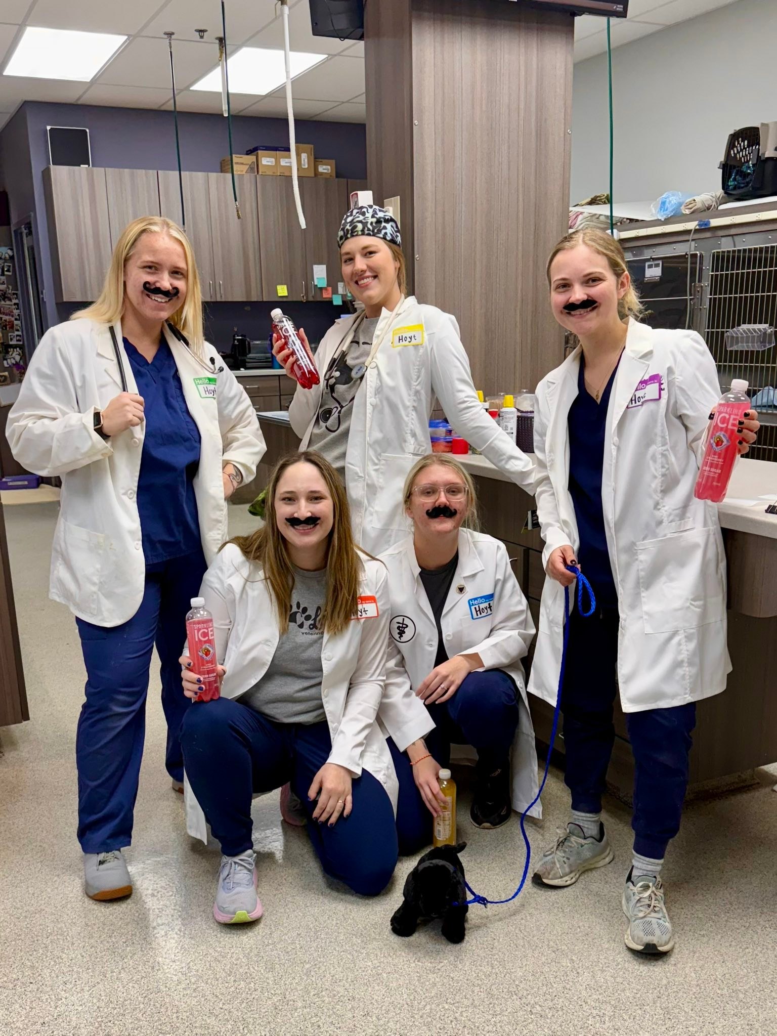 City Line Veterinary Center... - City Line Veterinary Center
