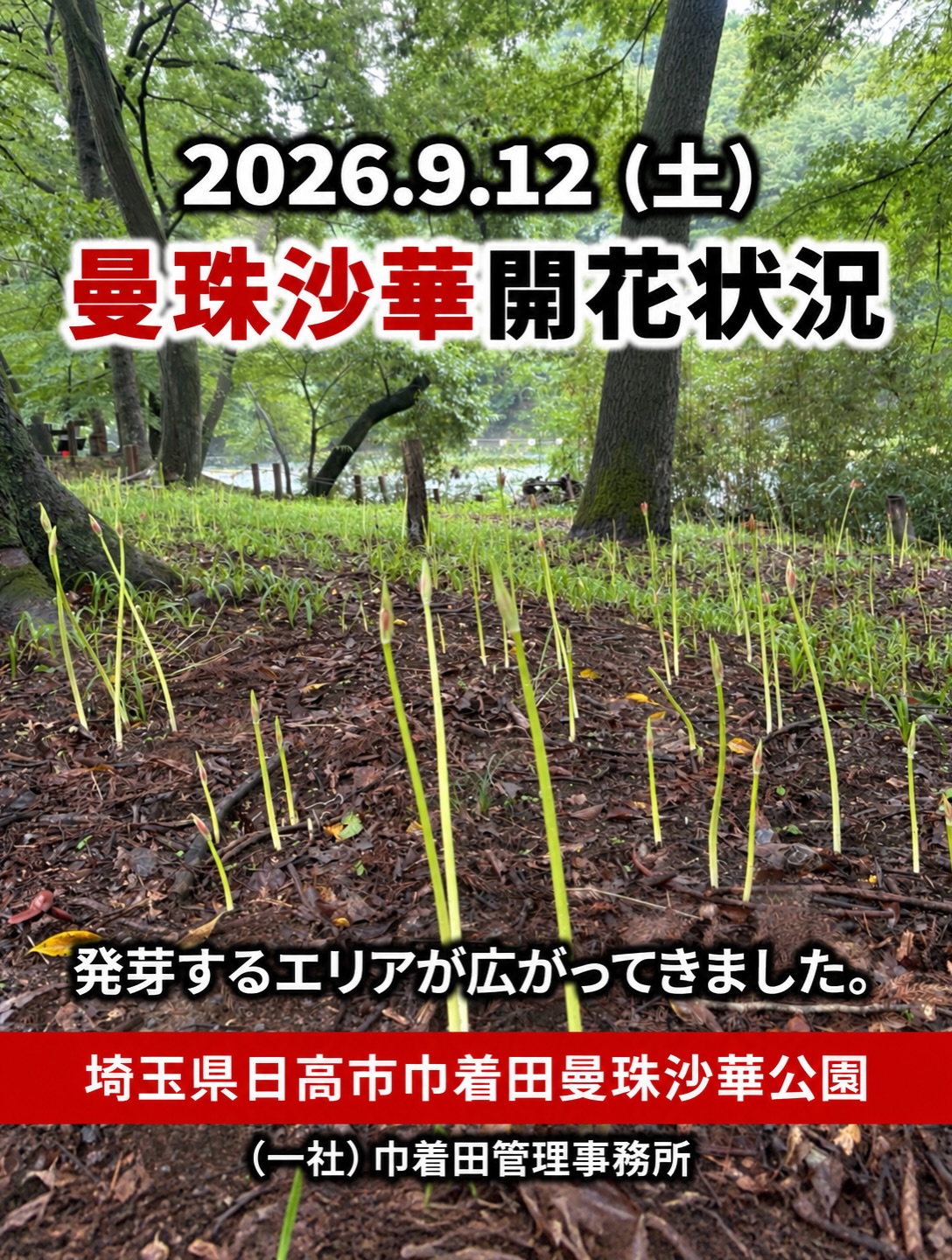 活動歴および当時の関連ビジュアル記録