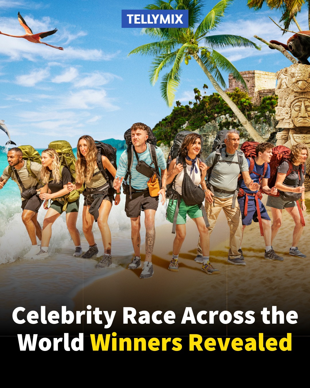 TellyMix - SPOILER ALERT 🚨 The winner of of Celebrity... | Facebook