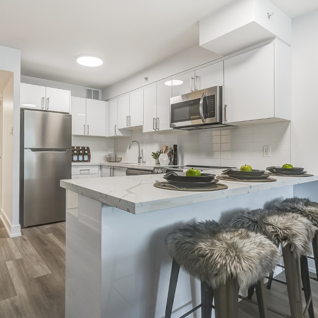 Curated visual reference: Toronto Pet Friendly Green Apartments Reference: Minto Featuring Niagara West Our Brand New Building With Bachelor