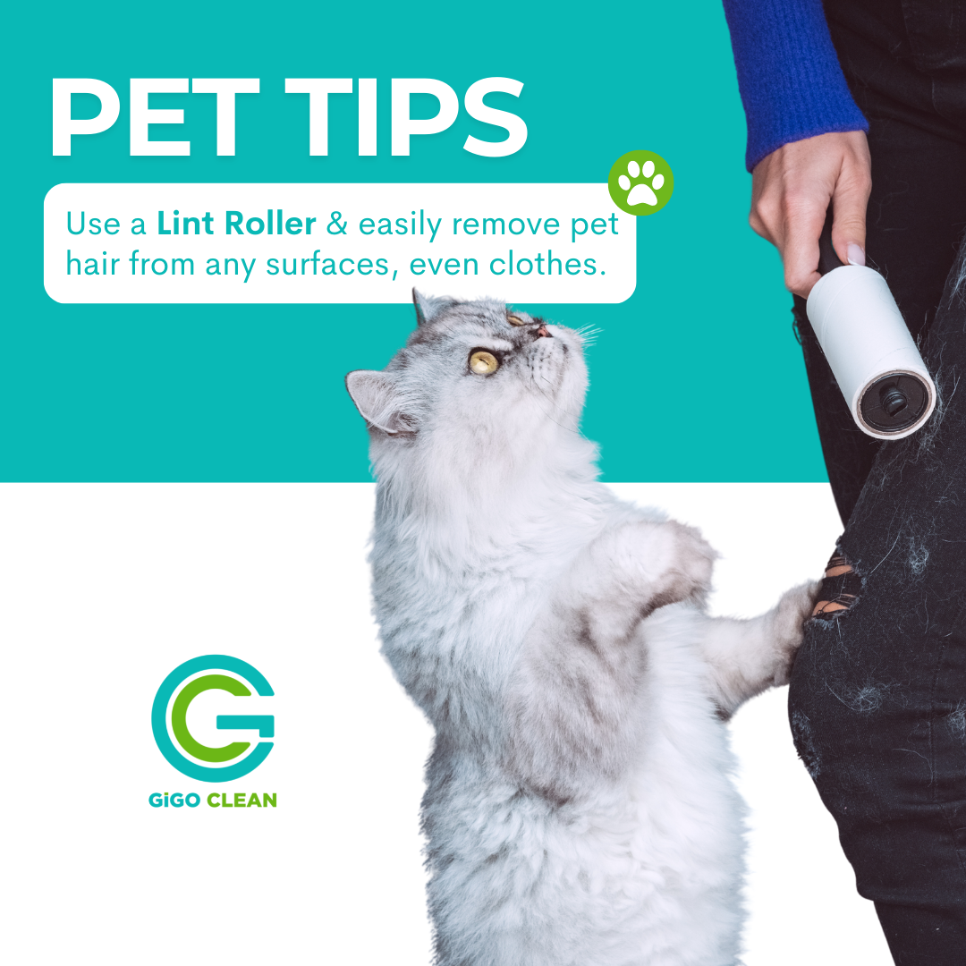 GiGO Clean - Pets are the light of our lives but oh my...