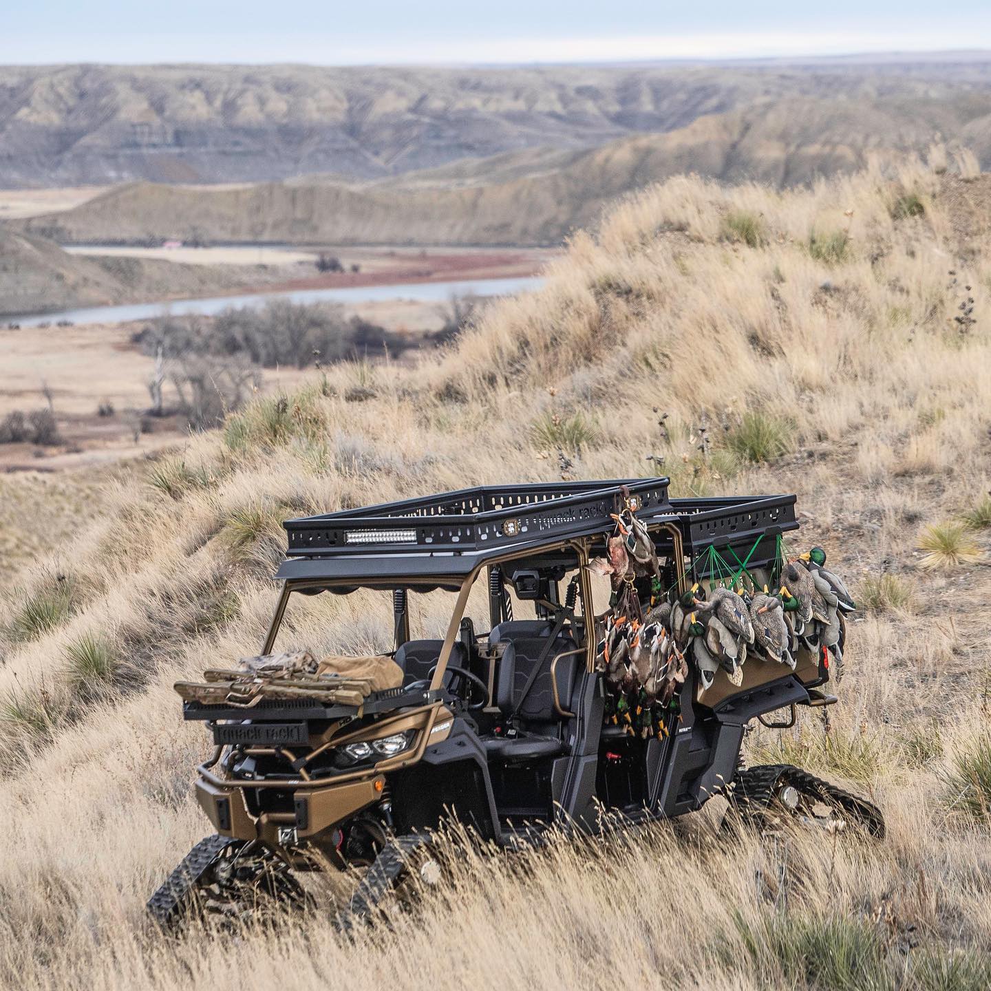 Quack Rack - Unassuming duck country. We absolutely love... | Facebook