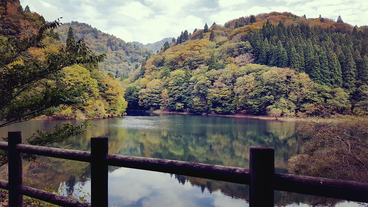 智頭町 森林セラピー 芦津渓谷にある三滝ダム 紅葉が始まってます Facebook