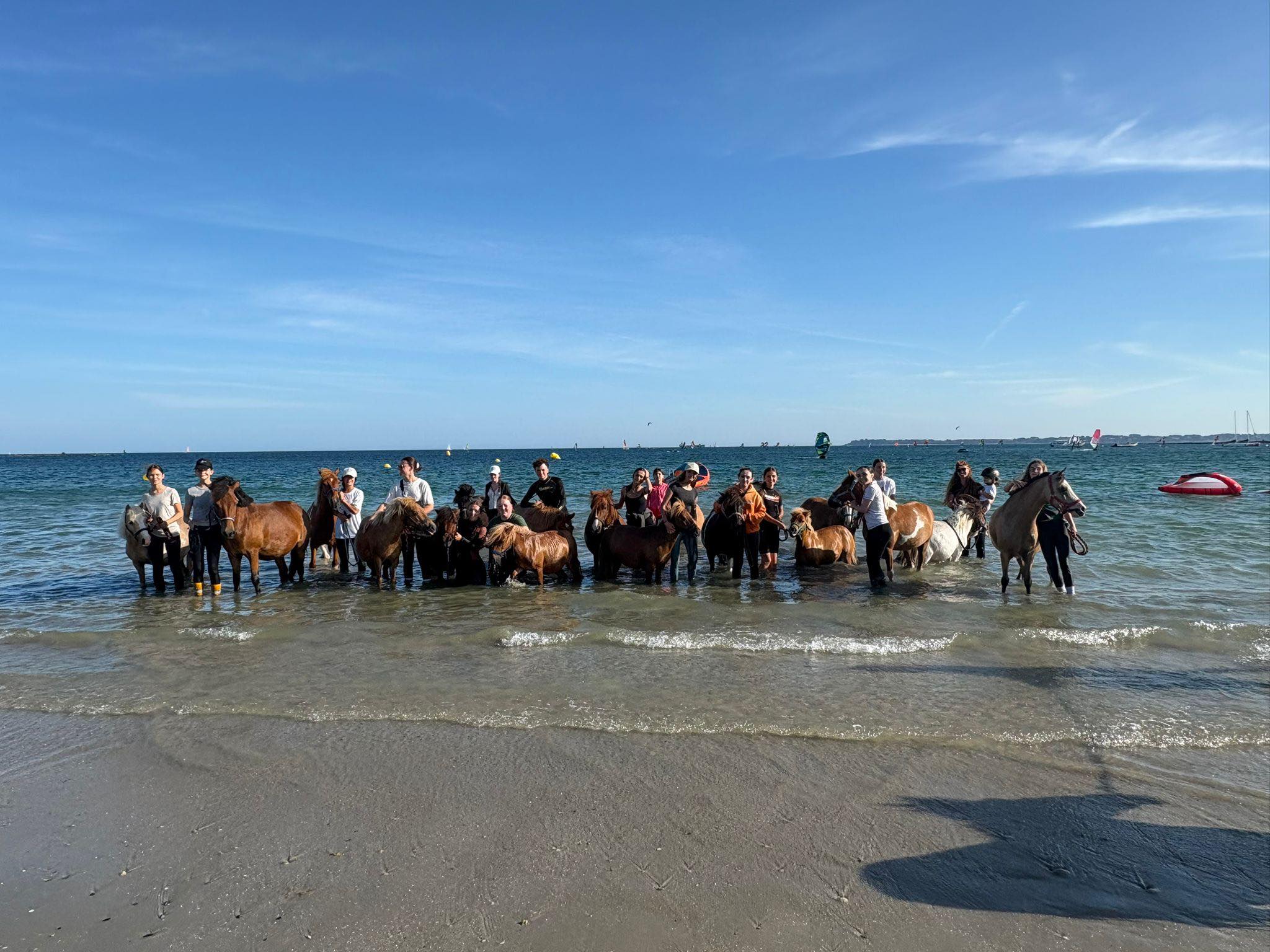 Kerguelen L.A.E | Larmor-Plage