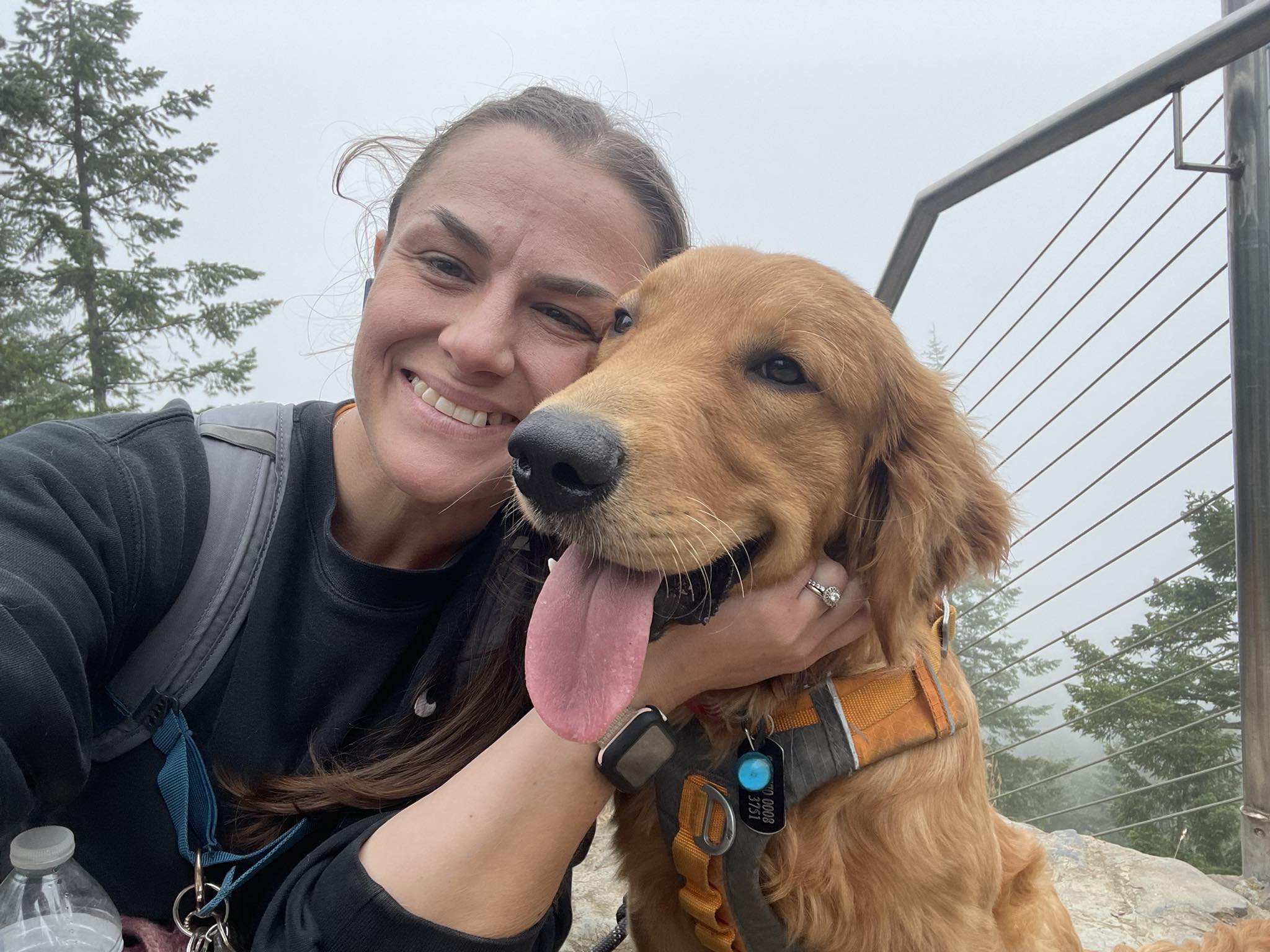 Golden Retriever Club of Kitsap County | Hey all! | Facebook