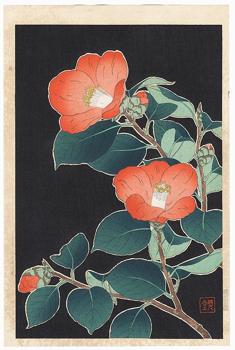 Peonies