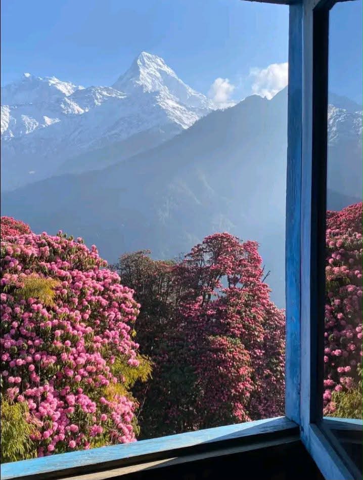 Greeting from Himalaya! #nepal #nepalphotography