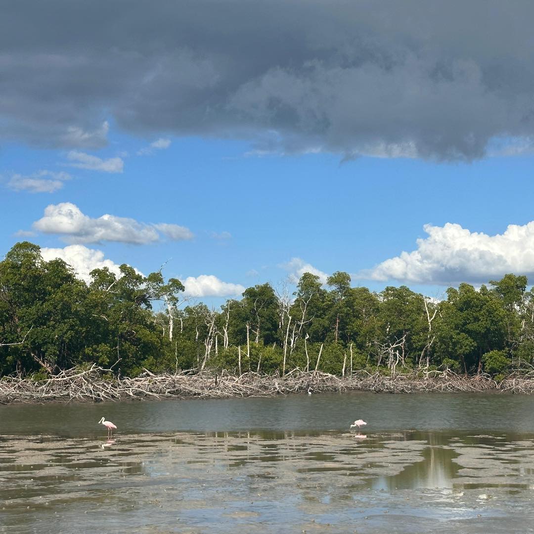 Treasure Seekers Shell... - Treasure Seekers Shell Tours