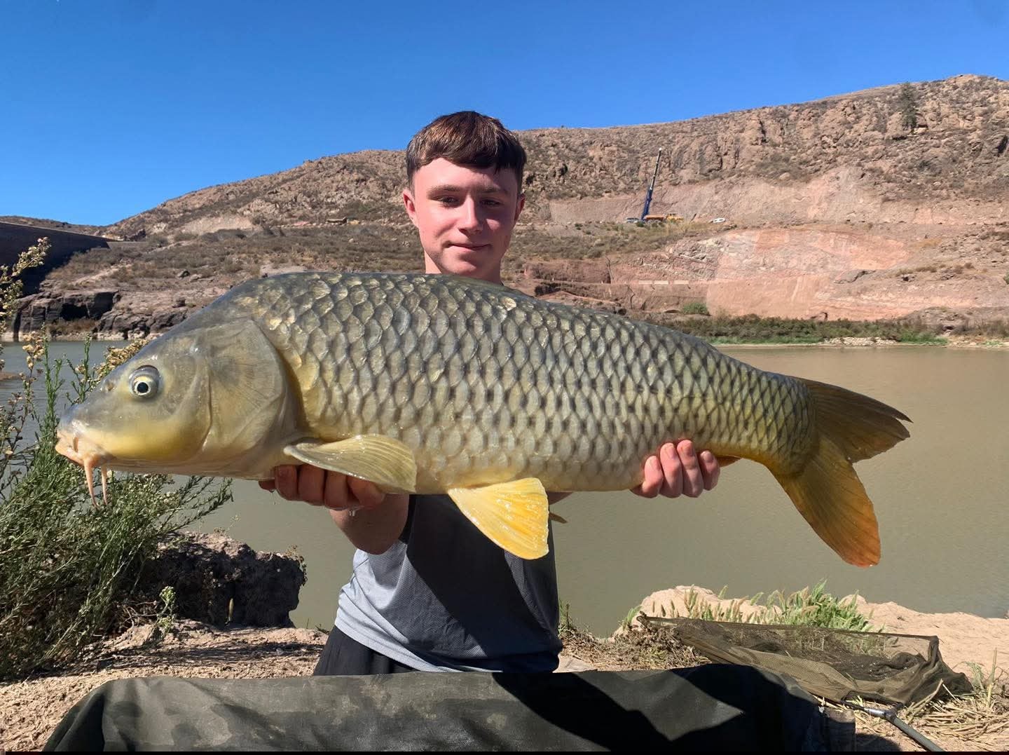 David Beecham -Carp Angler