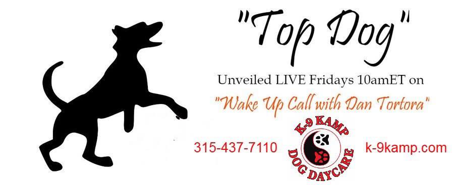 Who will be DT’s “Top Dog... - Wake Up Call with Dan Tortora | Facebook