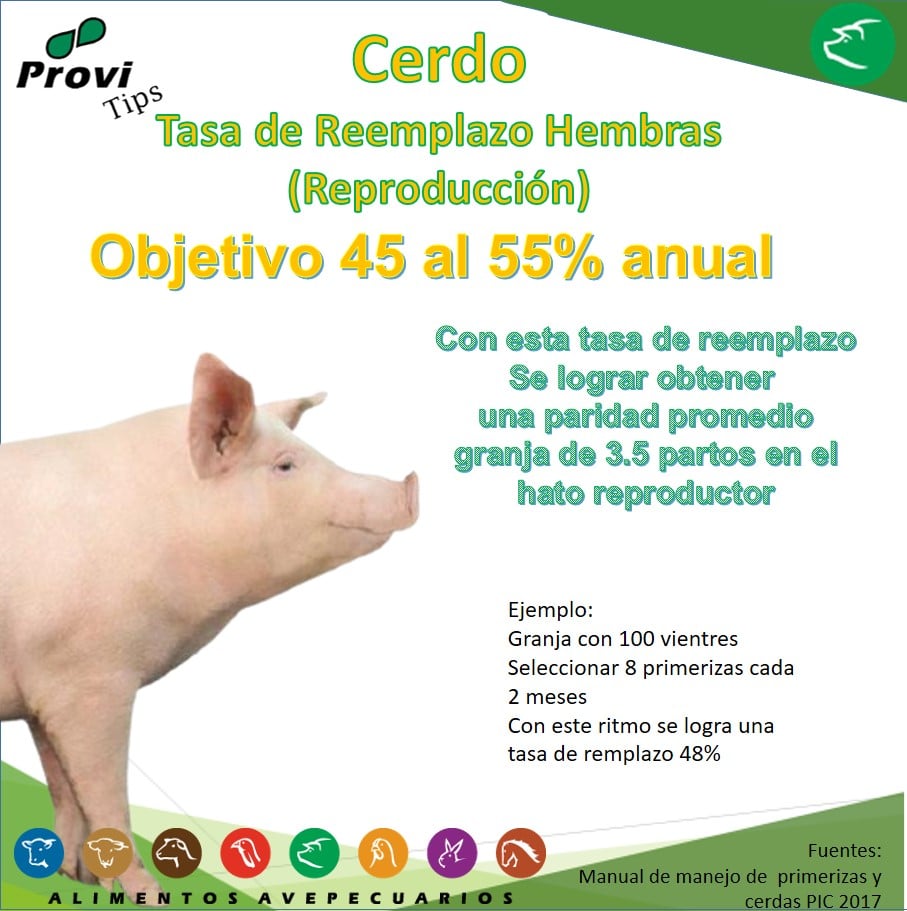 Provi Tips | Mérida