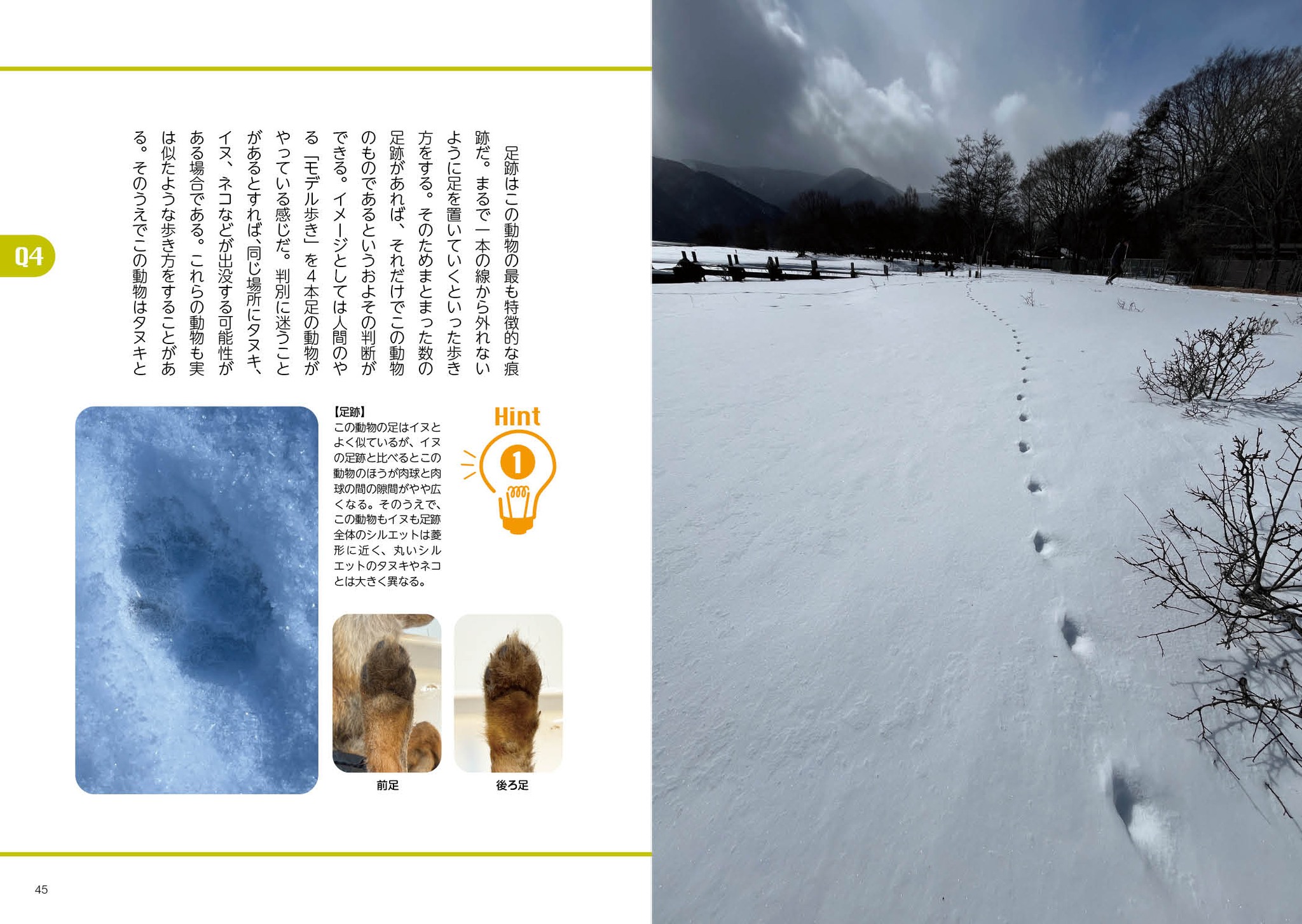 つり人 - つり人 added a new photo.