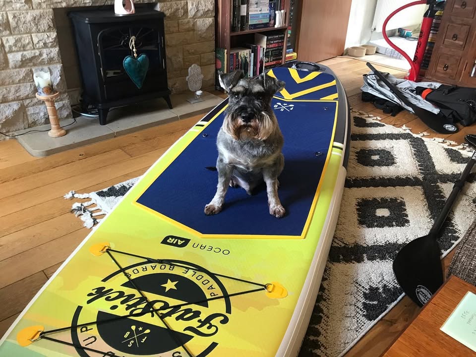 Secondhand Surfboards (QLD/Northern NSW) | Facebook